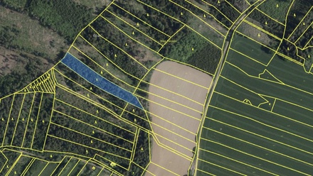 Prodej lesa 7 177 m², Mysletice