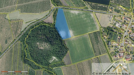 Prodej sadu / vinice 59 448 m², Želkovice