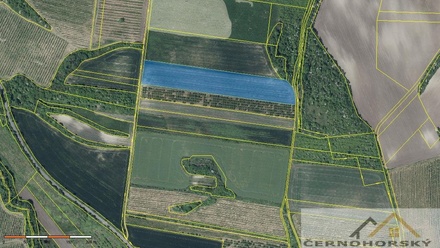 Prodej sadu / vinice 59 448 m², Želkovice