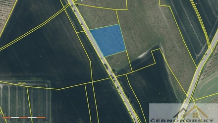 Prodej pole 5 989 m², Šepetely