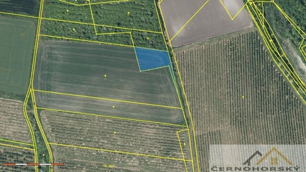 Prodej pole 5 989 m², Šepetely