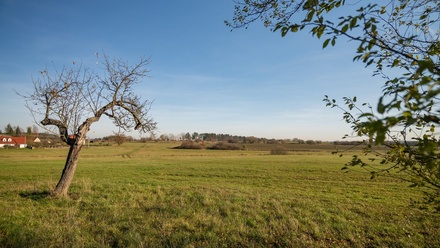 Prodej stavebního pozemku 2 623 m², Opařany - Skrýchov u Opařan
