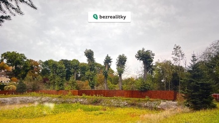 Prodej specifického pozemku 11 600 m², Peruc - Telce