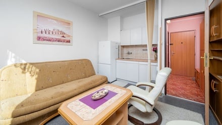 Pronájem bytu 1+kk 20 m², Liberec XIV-Ruprechtice