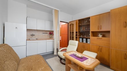 Pronájem bytu 1+kk 20 m², Liberec XIV-Ruprechtice