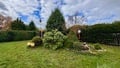 Prodej chaty 15 m², Jetětice - Červená