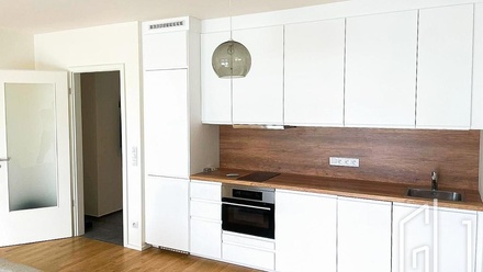 Pronájem bytu 1+kk 48 m², Praha 3, Žižkov