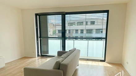 Pronájem bytu 1+kk 48 m², Praha 3, Žižkov