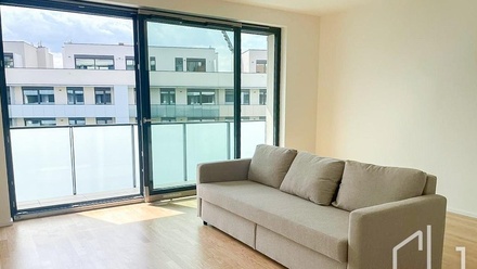 Pronájem bytu 1+kk 48 m², Praha 3, Žižkov