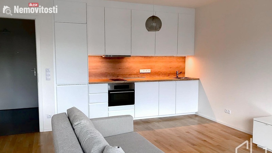 Pronájem bytu 1+kk 48 m², Praha 3, Žižkov