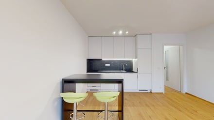 Pronájem bytu 1+kk 28 m², Letovice