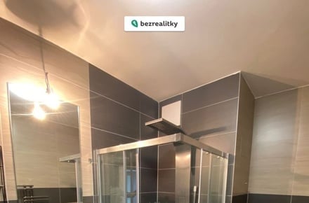 Prodej bytu 1+kk 41 m², České Budějovice - České Vrbné