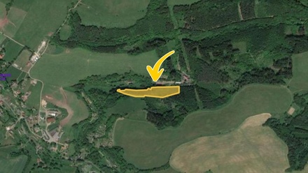 Prodej lesa 17 451 m², Trutnov