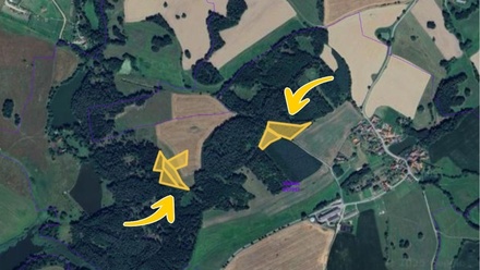 Prodej podílu 3/8 lesa 7 381 m², Hrazany