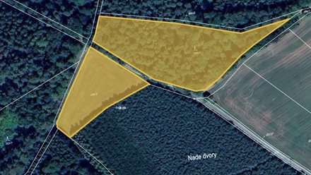 Prodej podílu 3/8 lesa 7 381 m², Hrazany