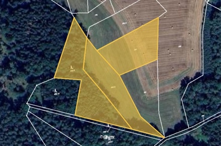 Prodej podílu 3/8 lesa 7 381 m², Hrazany