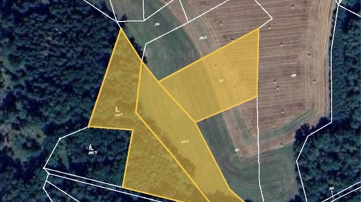 Prodej podílu 3/8 lesa 7 381 m², Hrazany