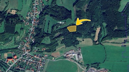 Prodej lesa 4 815 m², Hovězí