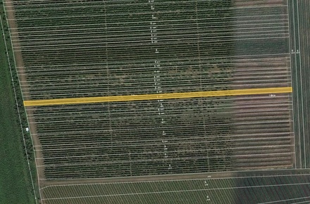 Prodej sadu / vinice 2 376 m², Lipov