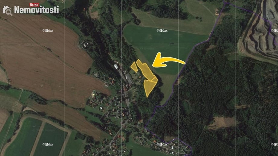 Prodej lesa 15 134 m², Stružinec