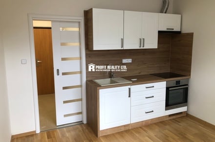 Pronájem bytu 1+kk 20 m², Praha - Krč