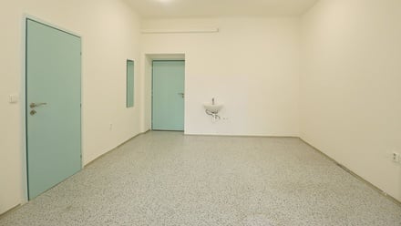 Pronájem bytu 4+1 120 m², Brno