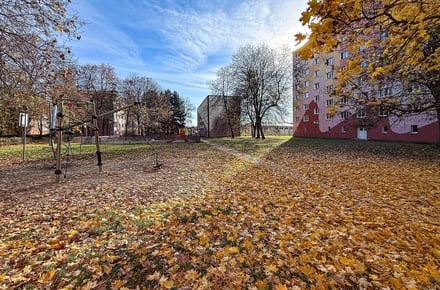 Prodej bytu 3+1 70 m², Chomutov