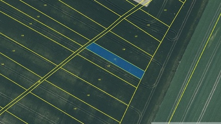 Prodej pole 24 526 m², Lkáň