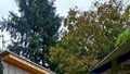 Prodej chaty 61 m², Litovel
