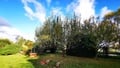 Prodej chaty 61 m², Litovel