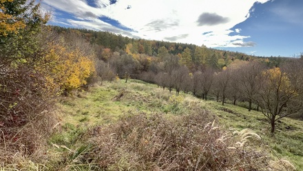 Prodej zahrady 824 m², Kostelany