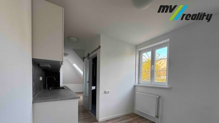 Pronájem bytu 1+kk 23 m², Praha - Břevnov
