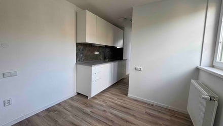 Pronájem bytu 1+kk 23 m², Praha - Břevnov