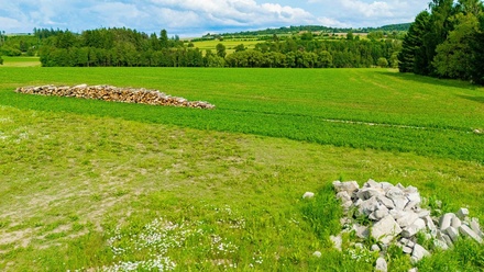 Prodej pole 4 299 m², Bory