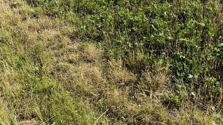 Prodej pole 6 249 m², Žďár nad Sázavou 2