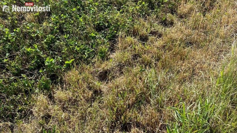 Prodej pole 6 249 m², Žďár nad Sázavou 2