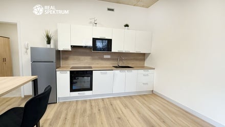 Pronájem bytu 1+kk 36 m², Brno - Horní Heršpice