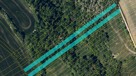 Prodej louky 4 459 m², Traplice