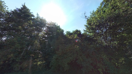 Prodej louky 4 459 m², Traplice