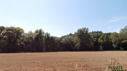 Prodej louky 4 459 m², Traplice