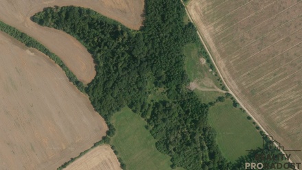 Prodej louky 4 459 m², Traplice