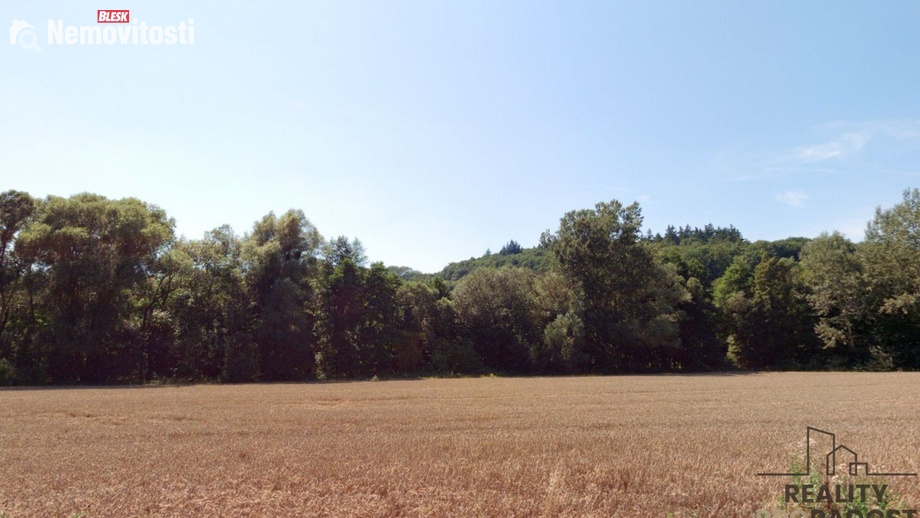 Prodej louky 4 459 m², Traplice