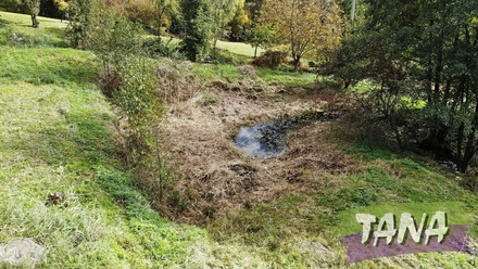 Prodej stavebního pozemku 9 985 m², Koberovy - Zbirohy