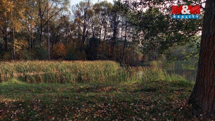 Prodej louky 5 258 m², Petrovice