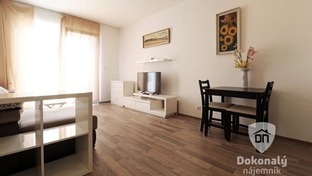 Pronájem bytu 1+kk 35 m², Praha - Letňany