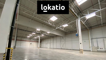 Pronájem výrobního prostoru 3 920 m², Modřice