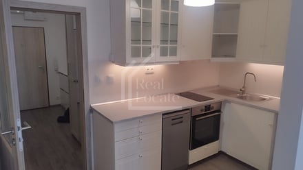 Pronájem bytu 1+kk 35 m², Praha - Modřany