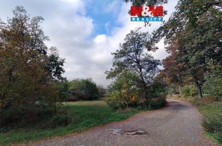 Prodej pole 1 988 m², Petrovice