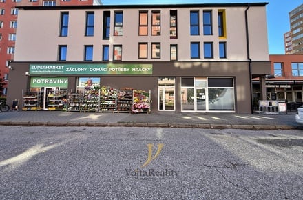 Pronájem bytu 1+kk 57 m², Olomouc - Povel