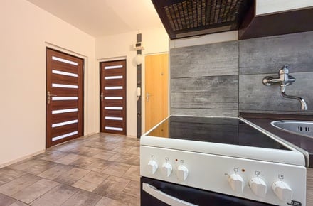 Pronájem bytu 2+1 60 m², Chomutov